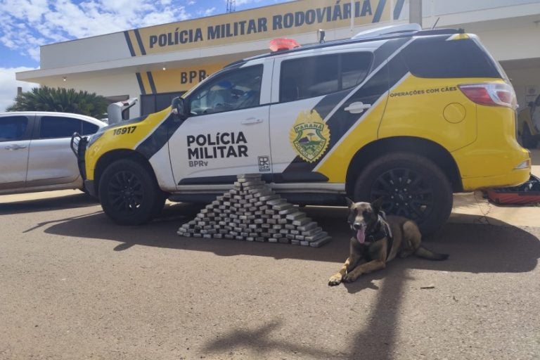 PRE apreende 68 kg de maconha que viria para Umuarama na PR-323.