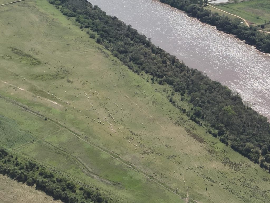 Imagem Do Whatsapp De 2025 09 26 à(s) 13.48.46 D7c99038