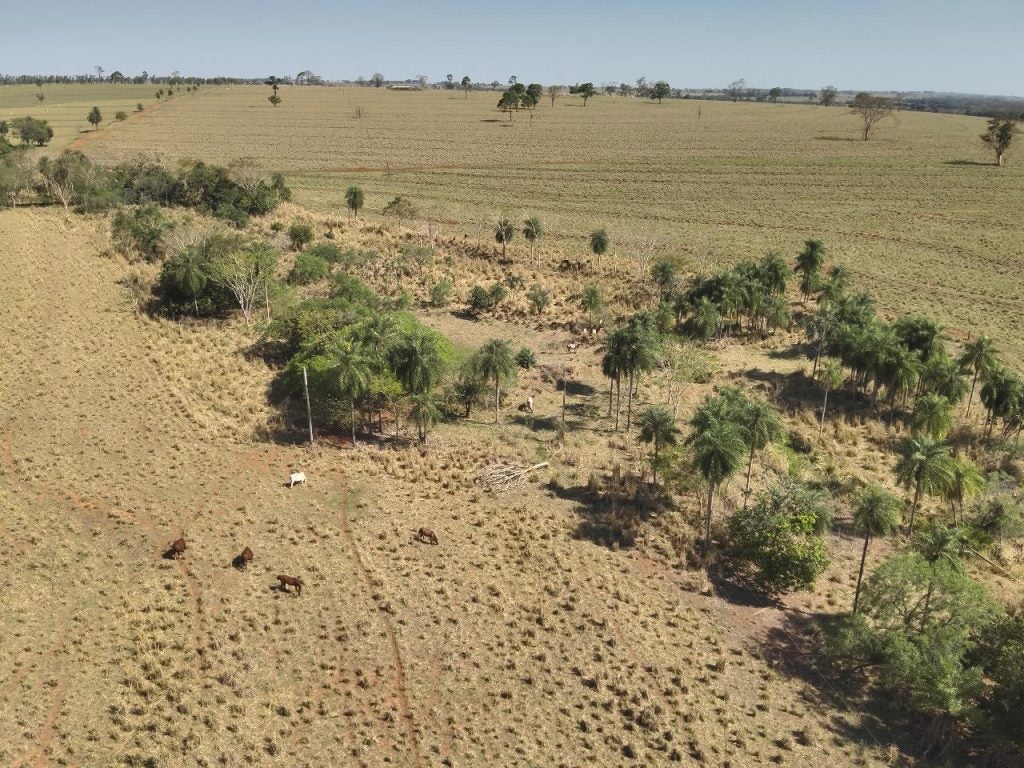 Imagem Do Whatsapp De 2025 09 26 à(s) 13.48.48 50bf68eb