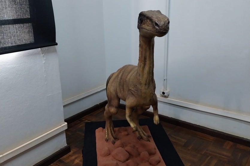 Museu De Paleontologia 01