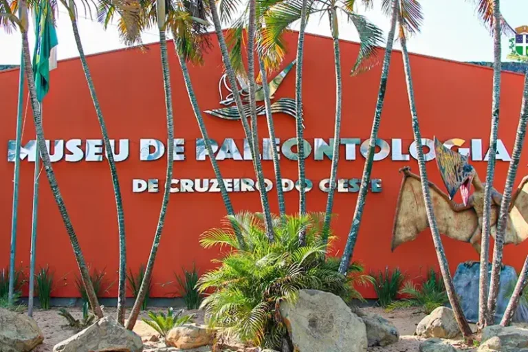 Museu de Paleontologia: Atualmente, o museu possui seis espécies inéditas, sendo três pterossauros, um lagarto e dois dinossauros.