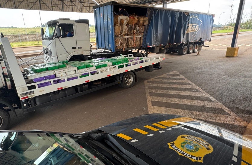 Prf Apreende Quase 3 Toneladas De Maconha Em Francisco Alves (4)