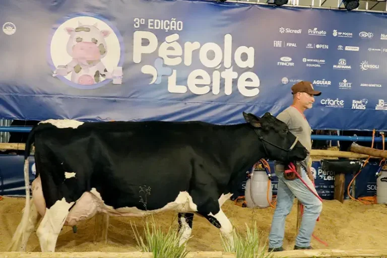 Pérola: