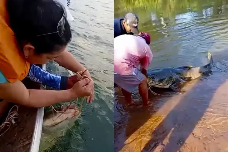 Pescador de Porto Camargo: Frequentadores do Porto organizaram a vaquinha como forma de gratificar o pescador pela atitude.