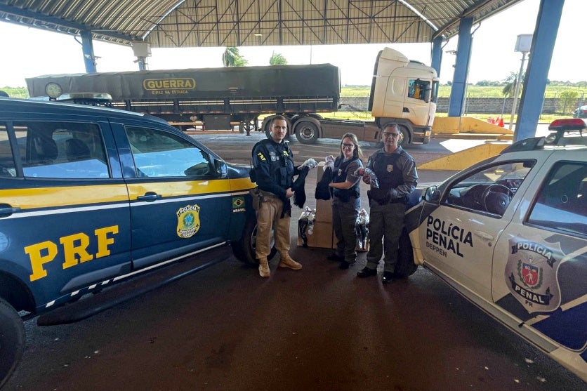 Presas Produzirão 2 Mil Perucas Com Cabelo Apreendido Pela Prf (1)