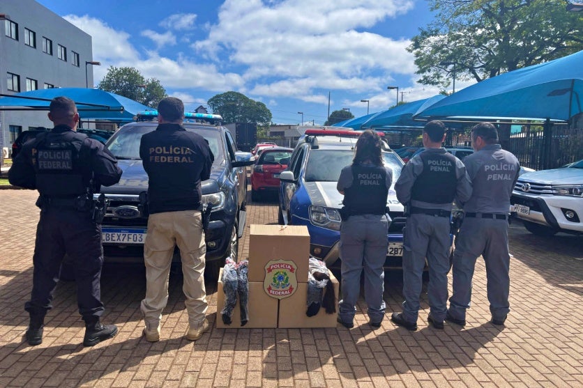 Presas Produzirão 2 Mil Perucas Com Cabelo Apreendido Pela Prf (3)