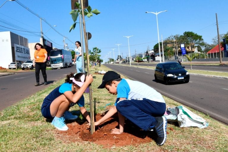 Programa Mais Sombra Resulta No Plantio De Mais De 2 Mil árvores (1)