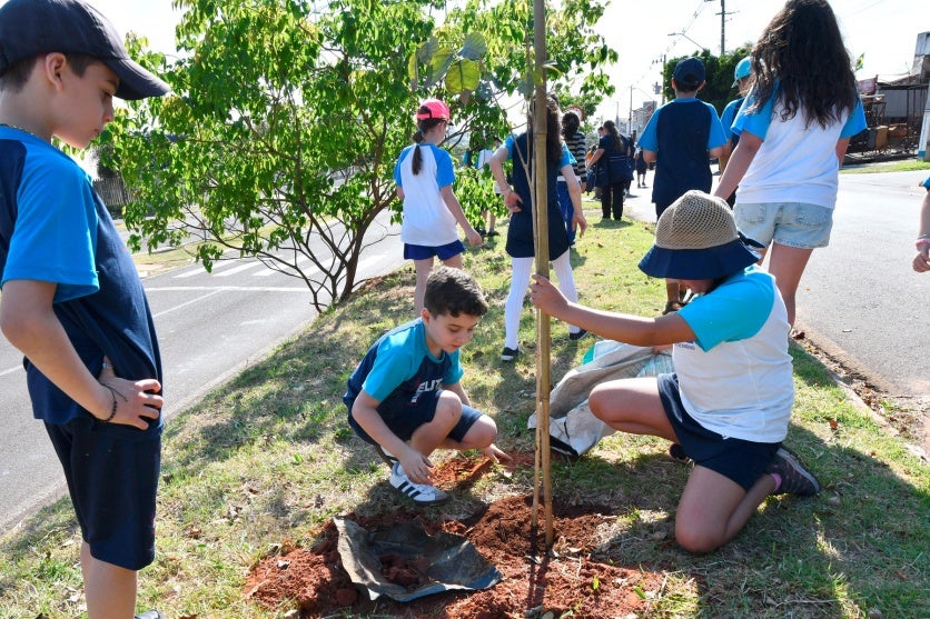 Programa Mais Sombra Resulta No Plantio De Mais De 2 Mil árvores (2)