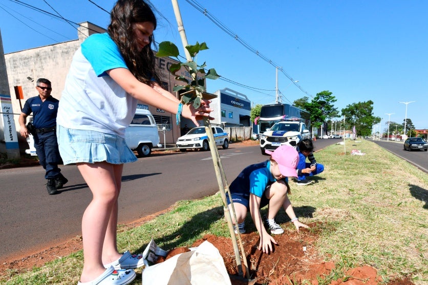 Programa Mais Sombra Resulta No Plantio De Mais De 2 Mil árvores (3)