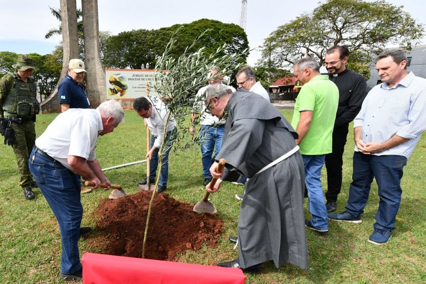 Projeto Ambiental Faz Plantio De Oliveiras Na Praça Da Catedral (1)