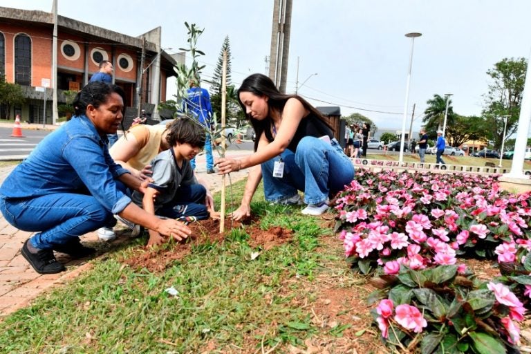 Projeto Ambiental Faz Plantio De Oliveiras Na Praça Da Catedral (3)