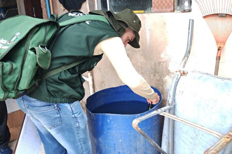 Regiões De Umuarama Têm Alta Infestação Do Mosquito Da Dengue (1)