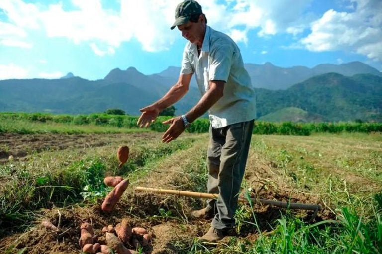Seminário Vai Discutir Sustentabilidade Na Agropecuária No Arenito