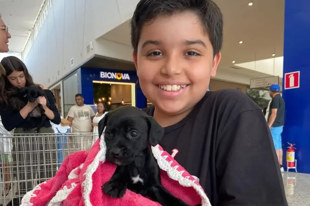 Vinte Cães E Gatos São Adotados Em Feira Da Saau No Shopping Palladium Umuarama 2