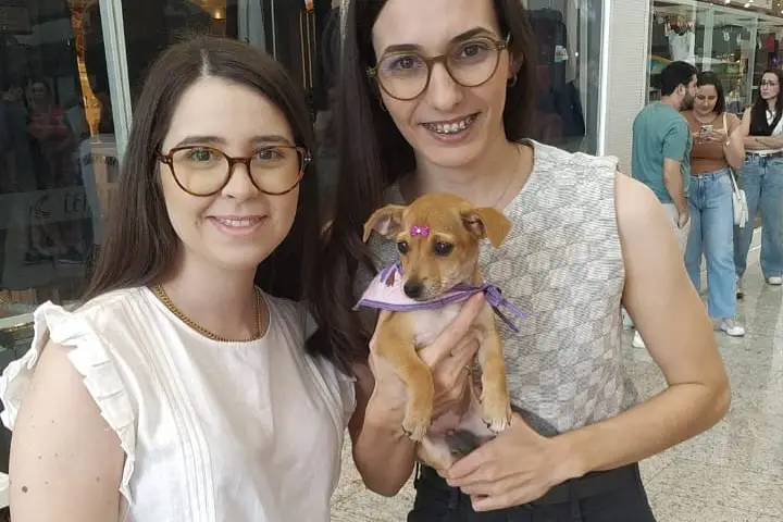 Vinte Cães E Gatos São Adotados Em Feira Da Saau No Shopping Palladium Umuarama 7