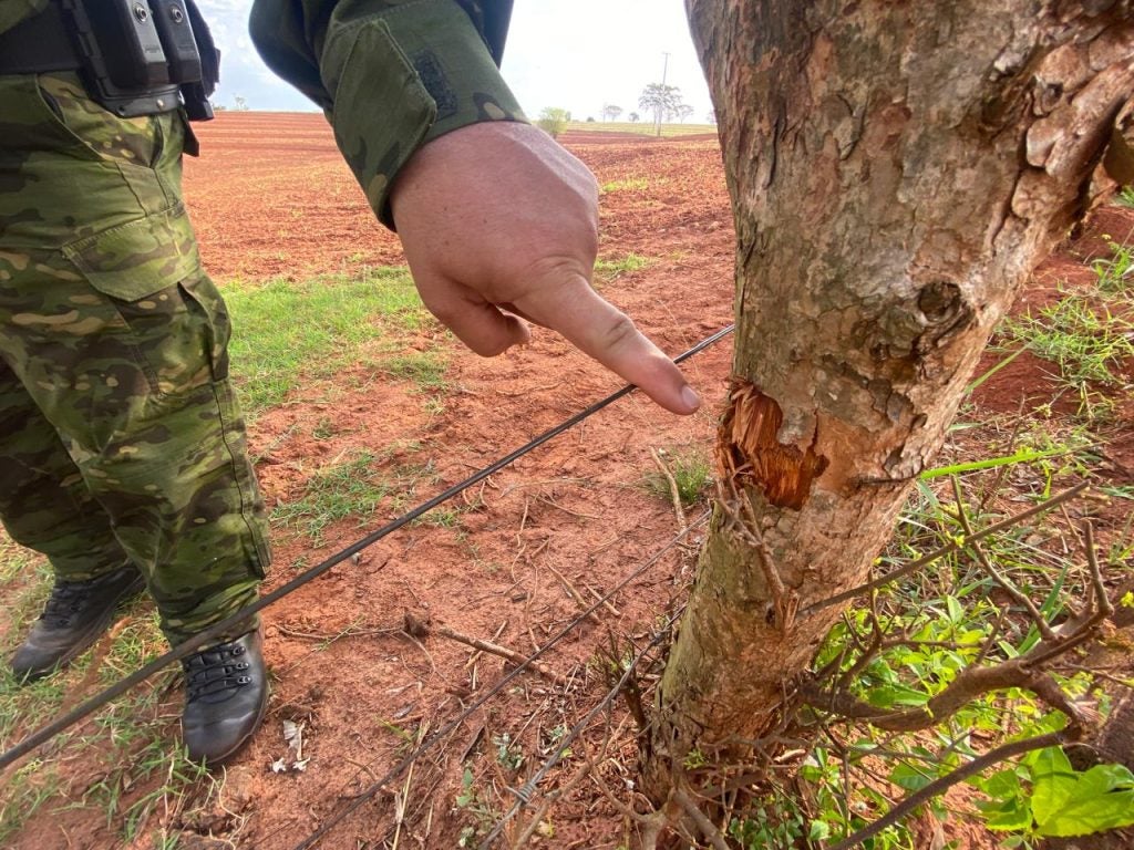 Whatsapp Image 2025 09 14 At 17.05.17 (1)