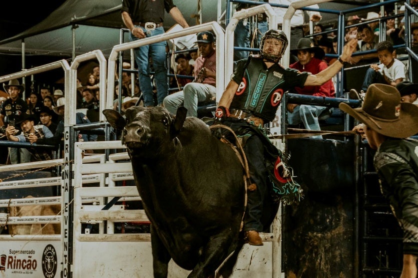 Whatsapp Image 2025 09 17 At 09.18.57