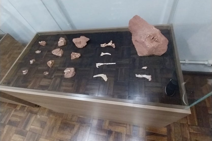 Whatsapp Image 2025 09 23 At 10.22.31