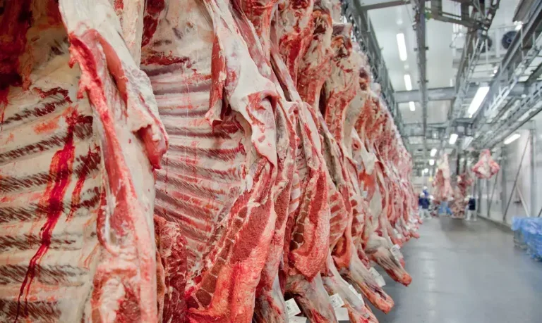 Carne Bovina Obemdito