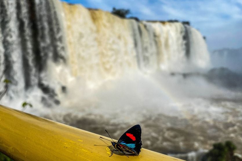 Parque Iguaçu