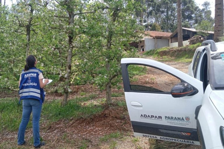Adapar anuncia concurso público com salário de até R$ 8.463,20.