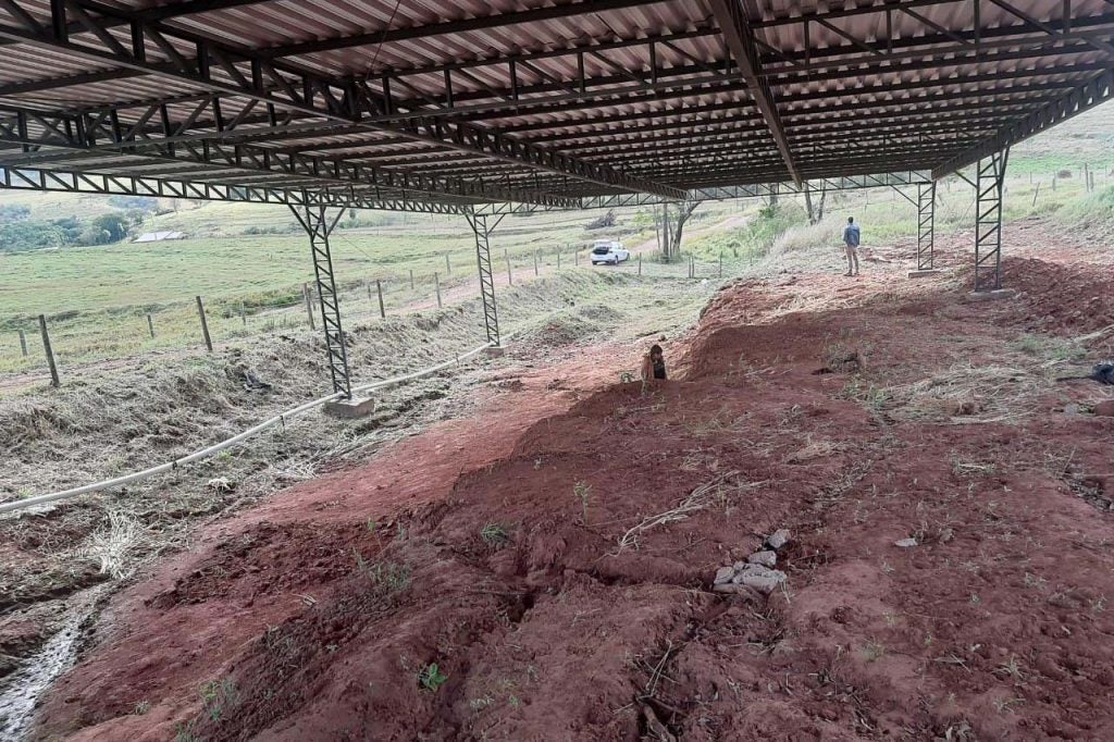 Dinossauros Cruzeiro Do Oeste (4)