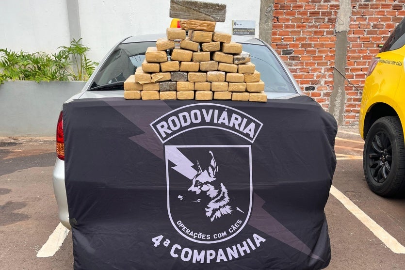 Imagem Do Whatsapp De 2025 10 02 à(s) 09.25.57 1236e1f8