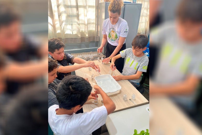 Ivaté Cooperativa Mirim Do Sicoob Incentiva Espírito Cooperativista (1)