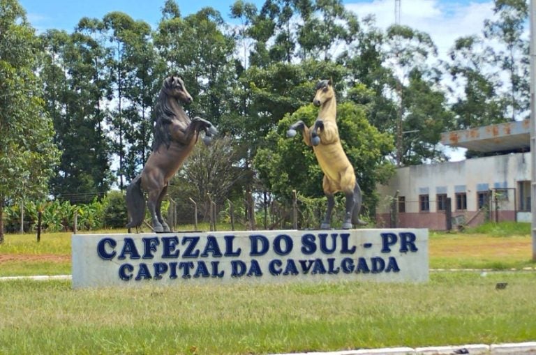 Pm Cumpre Mandado De Busca E Prisão Contra Mulher Em Cafezal