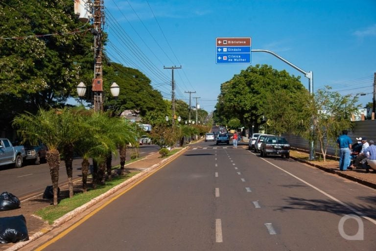 Umuarama Batizou Distrito Com Nome Inspirado Em árvore Perobal (2)
