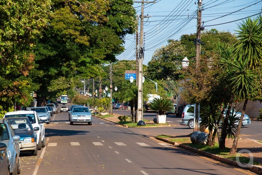 Umuarama Batizou Distrito Com Nome Inspirado Em árvore Perobal (3)