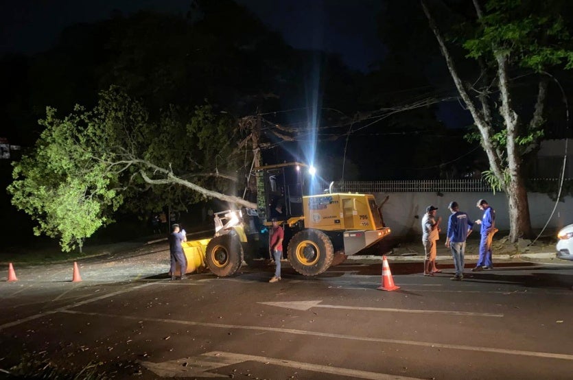 Vento Derruba árvore Na Avenida Parigot; Moradores Ficam Sem Luz (1)