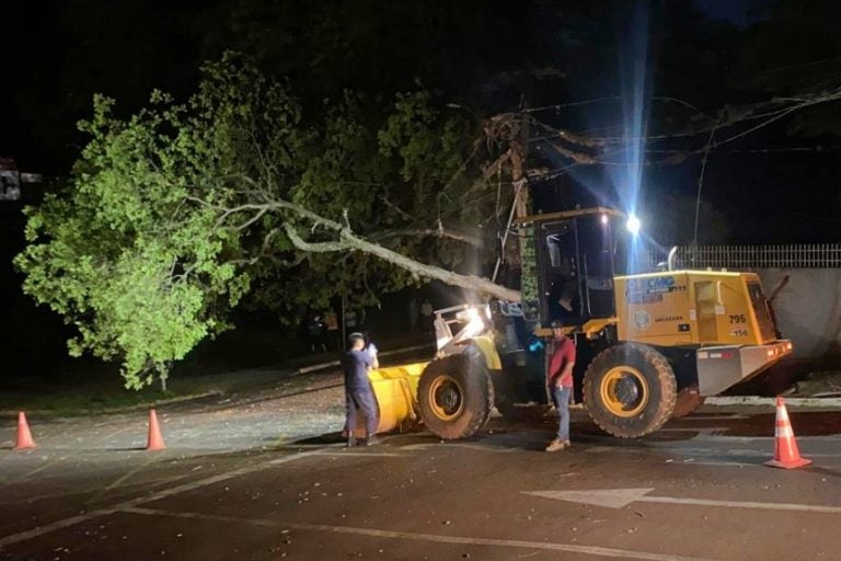 Vento Derruba árvore Na Avenida Parigot; Moradores Ficam Sem Luz (2)