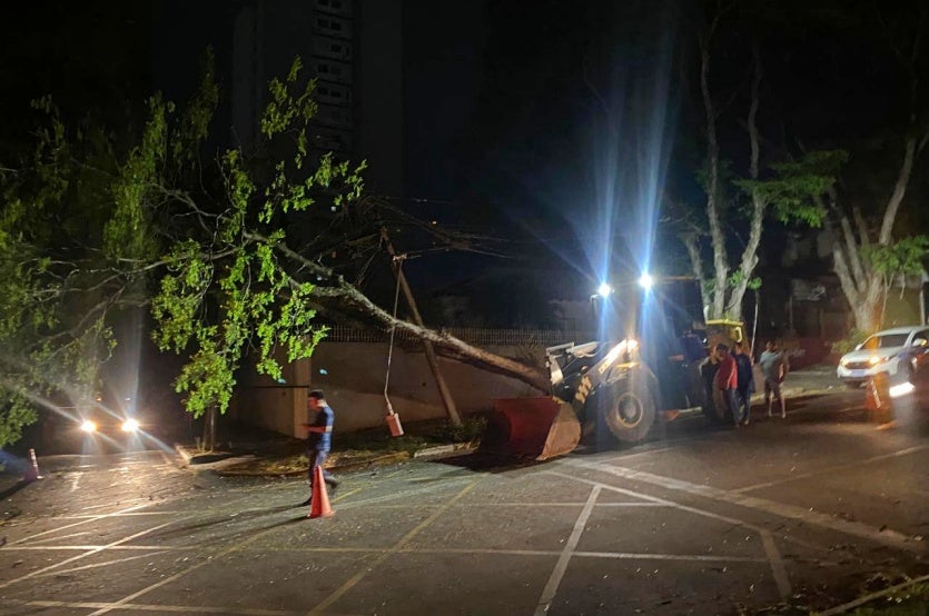 Vento Derruba árvore Na Avenida Parigot; Moradores Ficam Sem Luz (3)