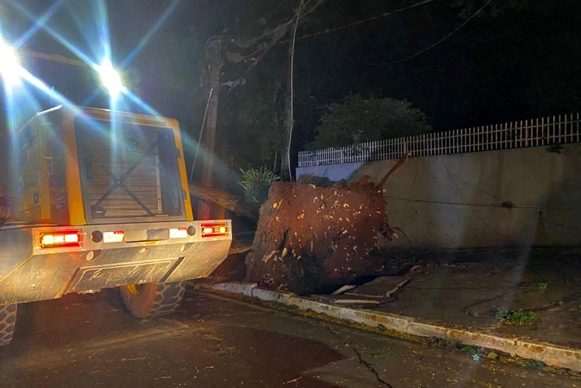 Vento Derruba árvore Na Avenida Parigot; Moradores Ficam Sem Luz 4