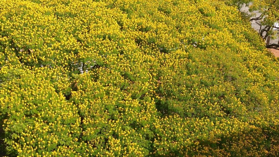 Whatsapp Image 2025 10 08 At 15.16.42 (2)