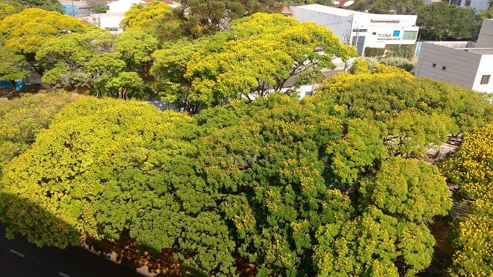 Whatsapp Image 2025 10 08 At 15.16.42