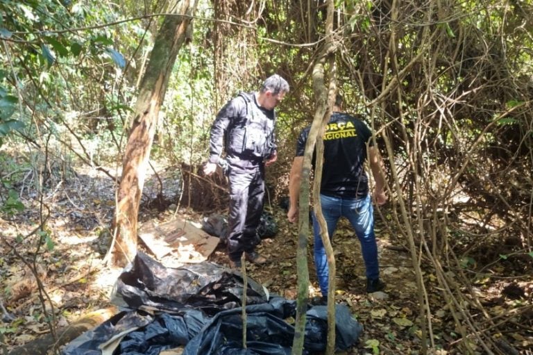 Polícia identifica bunkers em área rural de Icaraíma durante investigação de homicídios