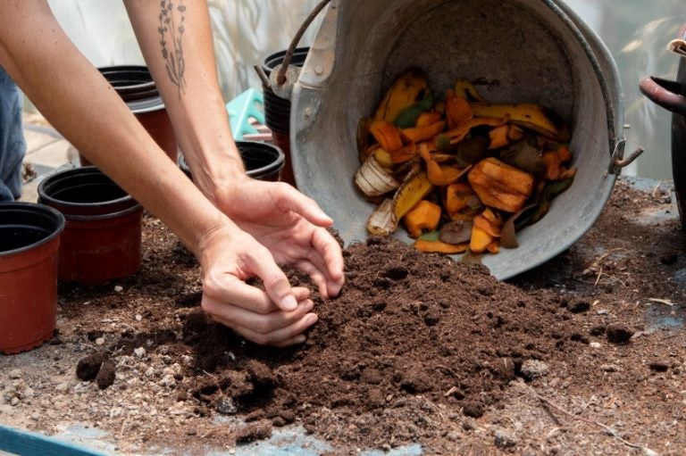 Transformar lixo em vida: oficina ensina compostagem doméstica em Francisco Alves