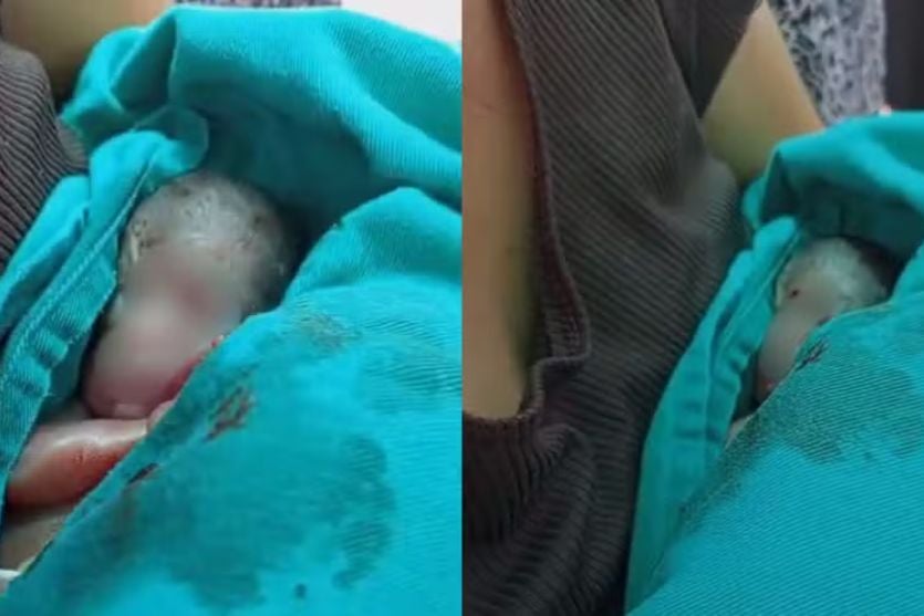 Criança Chora No Próprio Velório Obemdito