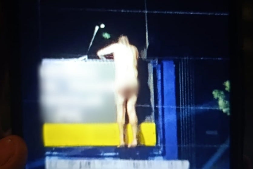 Rapaz Pelado Telhados Fanny Curitiba 2