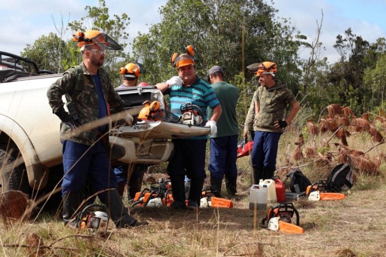 IAT oferece seguro de vida para voluntários atuantes no meio ambiente