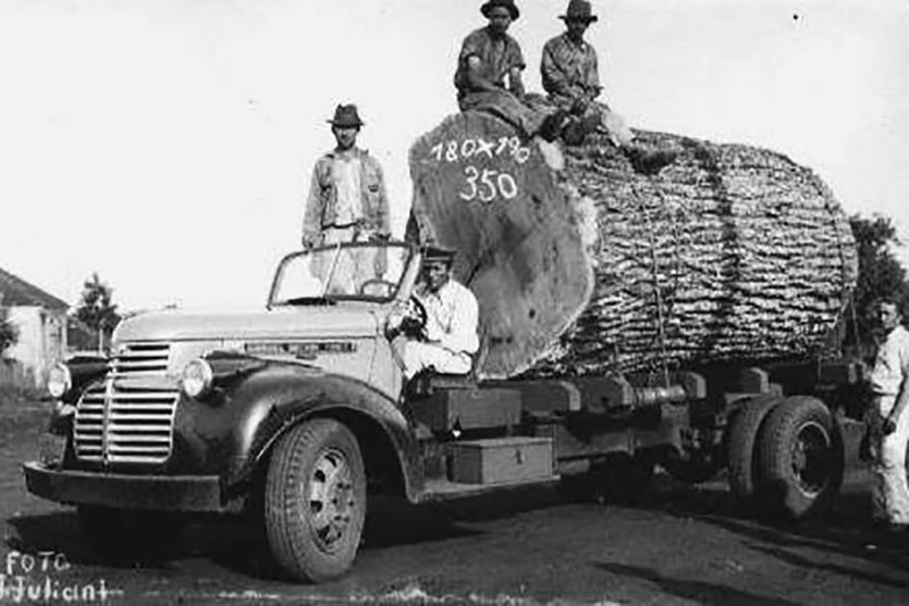 As Poucas Reservas Verdes Que Restaram, Correm Perigo!!! (3)