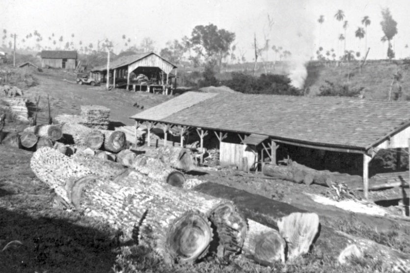 As Poucas Reservas Verdes Que Restaram, Correm Perigo!!! (4)