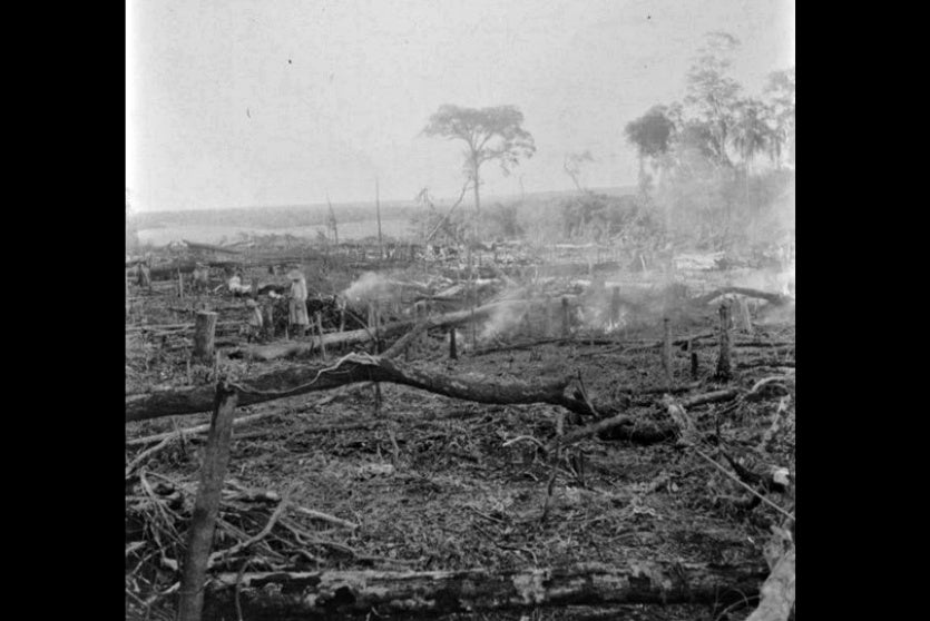 As Poucas Reservas Verdes Que Restaram, Correm Perigo!!! (6)