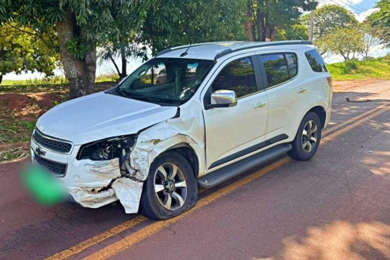 Blazer Colide Em Toro Que Cruzava A Pr 490, Entre Altônia E Iporã (2)