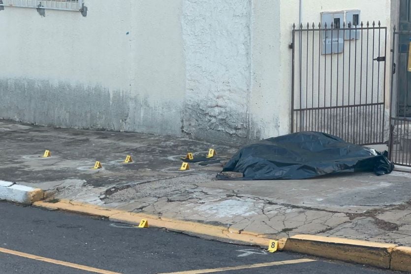 Design Sem Nome (100)