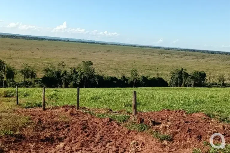 Equipes Buscam Homens Perdidos Em Vegetação Na Região