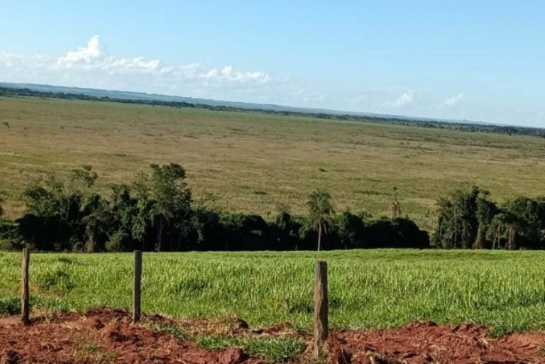 Equipes Localizam Homens Que Estavam Perdidos Em Vegetação