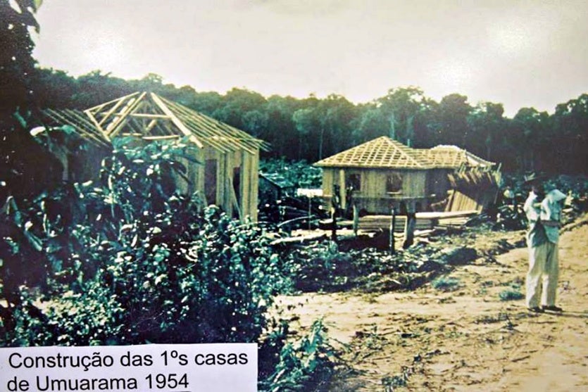 Umuarama Uma Cidade Construída De Madeira Extraída Da Floresta! (3)